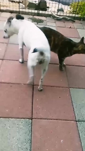 Victoria Graham on Reels