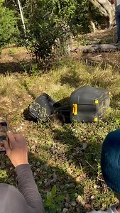 Luislang van 40 kg losgelaat Die luislang is gistermiddag deur dr. Nada de Villiers in Leshiba Wilderness losgelaat . #python #freedom #limpopo Lees meer hier: https://find-it.co.za/2022/08/25/luislang-van-40-kg-losgelaat/ | Nuusflits Nuus