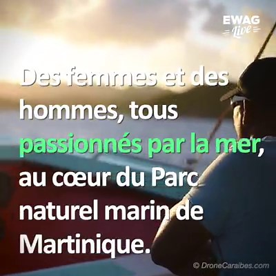 44K views · 292 reactions | ✅Le saviez-vous ? Avec 48 îlets, 350 km de plages et 22 km2 de mangrove, le parc naturel marin de Martinique est le 2nd plus grand parc naturel marin de France 呂 #pnnm #developpementdurable #nature #Martinique | EWAG | Facebook
