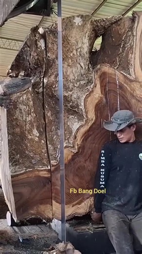 Big Pin Oak Log Milling at the Sawmill