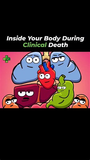 Health | Body | Wellness on Instagram: "Clinical death happens when your heart stops beating and blood stops flowing — meaning your brain, organs, and cells are suddenly cut off from oxygen. For a few minutes, the brain is still partially active… and this is when people report “near-death experiences. If the heart isn’t restarted in time, the cells begin to shut down — and the damage becomes permanent. . . 👉 Follow @purewellnessera for real science-based body facts & health education! . . #clin