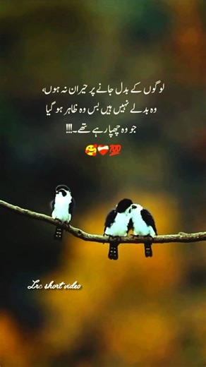 short video #music #dj #poetry #sadmusic #quotes #sadsong #youtube #shayari #viralvideo ##views