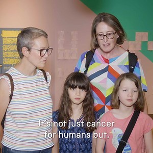 16 reactions | Don’t miss this free exhibition closing 29 January – discover how a revolution in science is transforming how cancer is prevented, detected and treated | Science Museum | Facebook