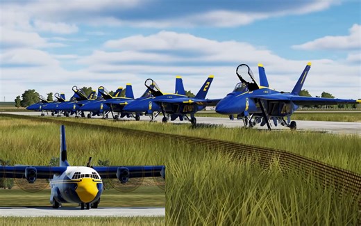 VIAF 2021 国际虚拟航空节 - 蓝天使表演队 特技飞行表演