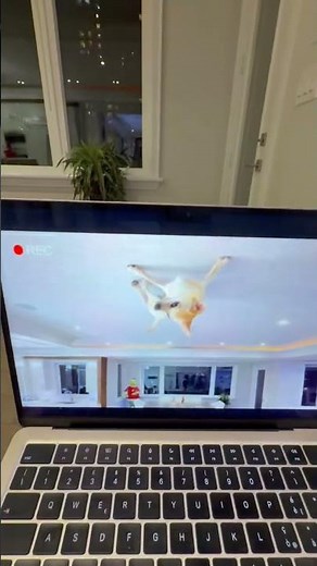 OUR DOG WALKED BACKWARDS ON THE CEILING…😨