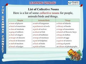 Collective Nouns | Definition of Collective Nouns | List of Collective Nouns | Grammar for Class 3