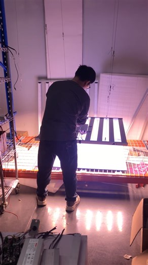 #led #ledlights #garden #plants #lighting