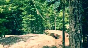 6.9K views · 355 reactions | Bas van Steenbergen on Reels | Facebook