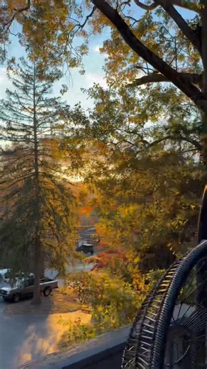 The Tree House: Magic Hour Adventures headquarters on Reels