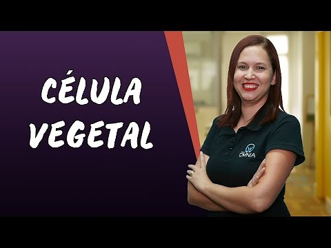 Célula Vegetal - Brasil Escola