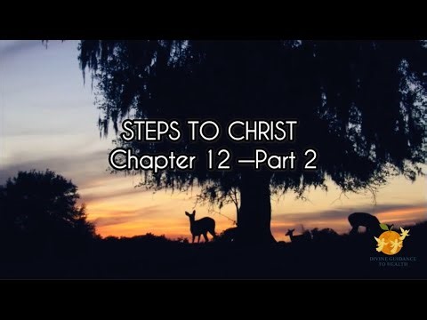 Is Doubt Destroying Your Spiritual Walk? Here's The Answer | SC - Ch 12, Part 1