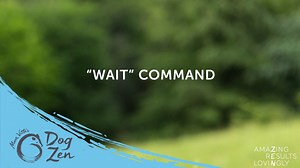 How to teach the Wait command