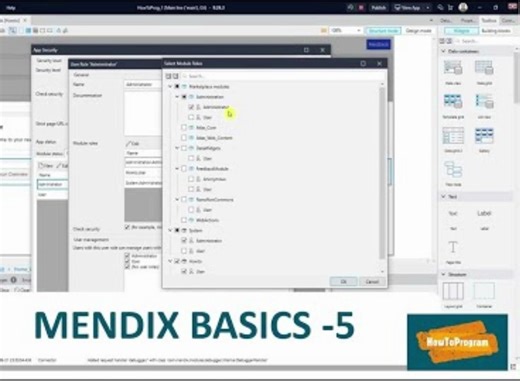 Mendix 基础教学5 (Security, User Roles)