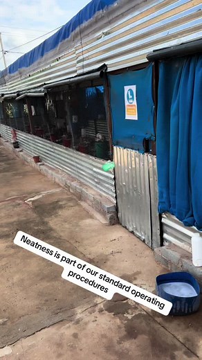 #agriculture #poultryfarming #agribusiness #getthingsdone