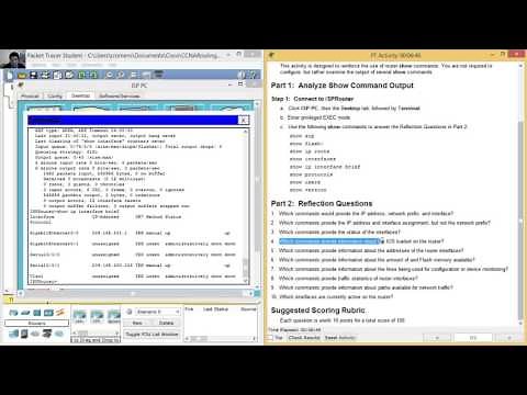 11.3.3.3 Packet Tracer - Using Show Commands