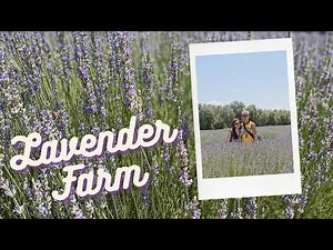 The Lavender Farm & Festival at 123 Farm in Beaumont, CA