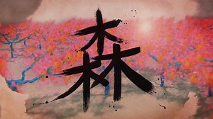 Trapcode particular forest breakdown & video.