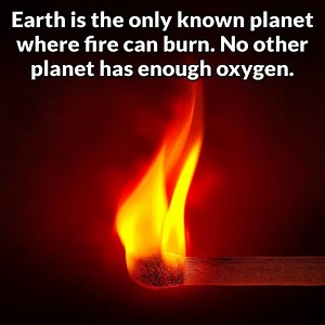 25 Facts About Anything & Everything | Mind Blowing Facts