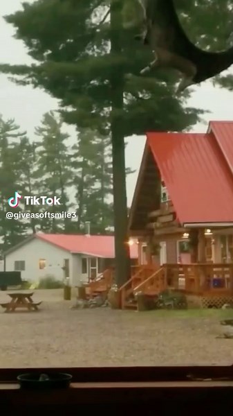 Spectacular Lightning Strike Captured in Stunning Detail