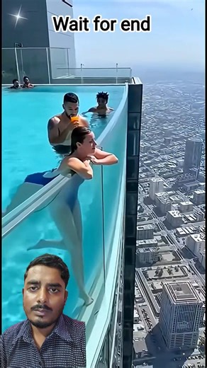 A disabled duckling helps his cat 🦆 friend #DuckRescue #CuteAnimal #AnimalRescue #shorts #shortsfeed