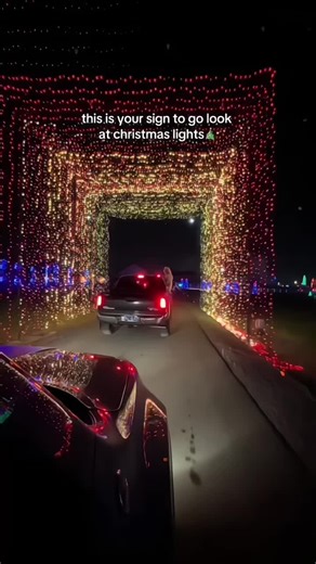 Custom LED Christmas Lights for Holiday Decor