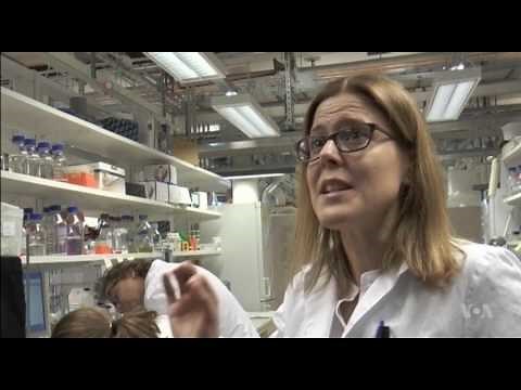 A Simple, New Way to Spin Spider Silk in the Lab