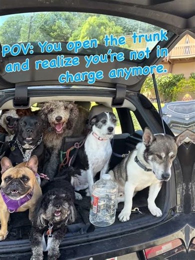 We train for structure, balance and apparently group decision-making. Happy April Fools. #aprilfools