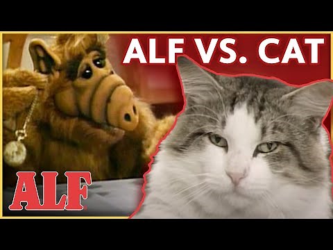 ALF's Best Cat Meow-ments 🙀