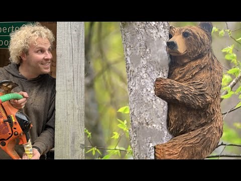 AWESOME CHAINSAW GRIZZLY Bear Cub Carving, Life Sized Cub