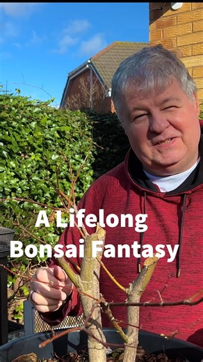 A Lifelong Bonsai Fantasy