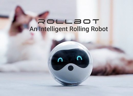 Play with your pet from anywhere with the Rollbot robot pet toy