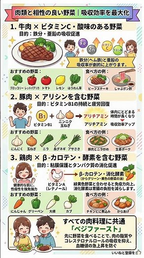 お肉の栄養、捨ててませんか？吸収効率を最大化する「最強の食べ合わせ」完全ガイド｜牛肉・豚肉・鶏肉に合わせるべき野菜の正体を徹底解説！