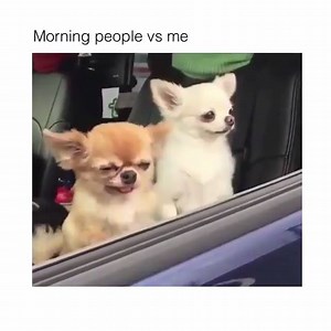 2.1K views · 60 reactions | SO TRUE!!!! Listen live: mix969.com/listen | Mix 96.9 | Facebook