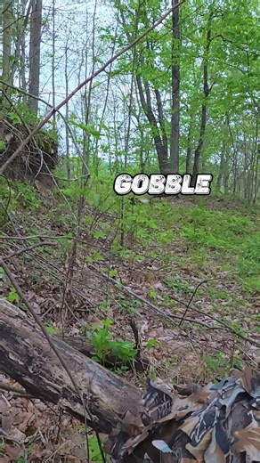 Ever make a move this aggressive?