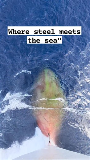 6.3K views · 29 reactions | The bulbous bow - genius naval engineering in action " #ship #ships #ocean #sea #maritime #vessel #shipping #nautical #sailing #waves #shipspotting #merchantnavy #lifeatsea #sailor #seafarer #cargoship #travel #nature #engineering #viral #reels #instagood #amazing #beautiful #explore #fblifestyle | marine photography | Facebook