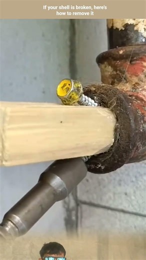 If your shell is broken, here's how to remove it