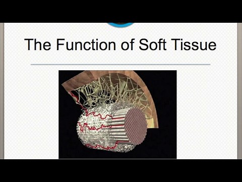 Soft Tissue Lecture