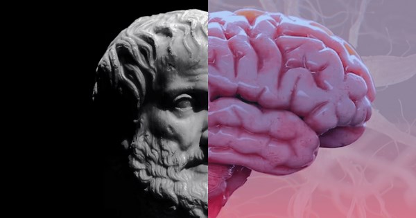 Is free will a fallacy? Science and philosophy explain.