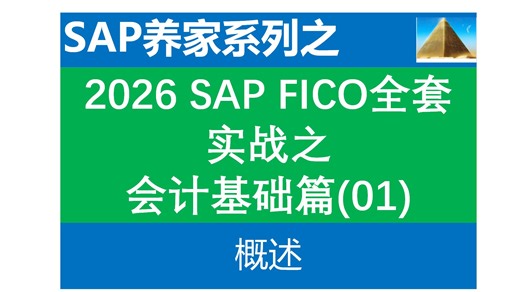 2026 SAP FICO全套实战(纯净环境)_会计基础01 概述 SAP FICO SAP MM SAP PP SAP SD 金蝶 用友易飞ERP