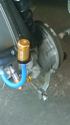 #cobra #skincare #crocodile #funny #python #whitening