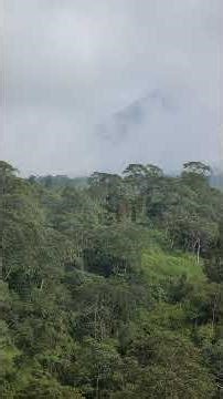 Gempa Tektonik Terasa Hingga Lereng Merapi