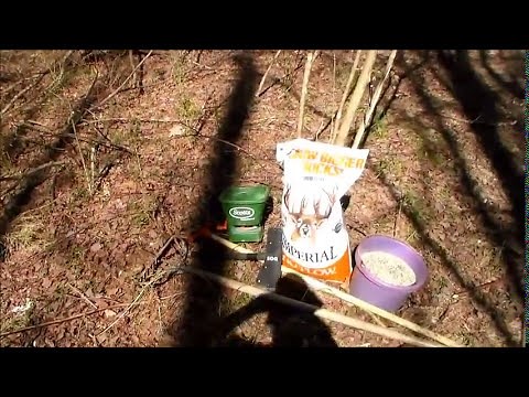 How to Plant a Small, Cheap Food Plot