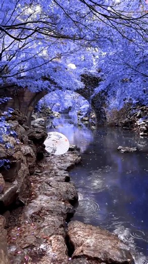 Most Beautiful Places in the World 😍✨ | U.K, Australia, Korea 🇬🇧🇦🇺🇰🇷 #shorts #uk
