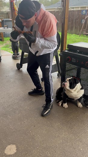 Louisiana Fried Frog Legs Recipe