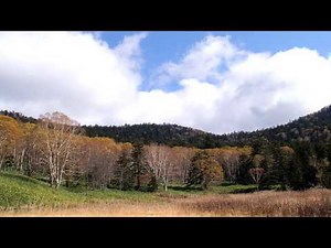 Adeste Fideles (piano solo)