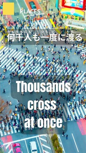 Tokyo’s Craziest Crossing?! Shibuya 🇯🇵