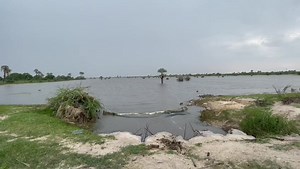 10K views · 62 reactions | NBC Digital News on Reels | Facebook