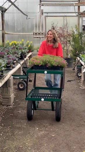 15K views · 759 reactions | This one’s for my girls 來 Comment...