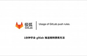 1分钟学会GitLab推送规则的使用方法