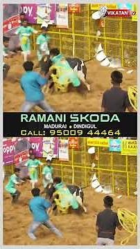 இந்த காளைக்கு சைக்கிள் உண்டு! | Palamedu Jallikattu